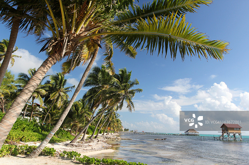 圣佩德罗（伯利兹）图片素材