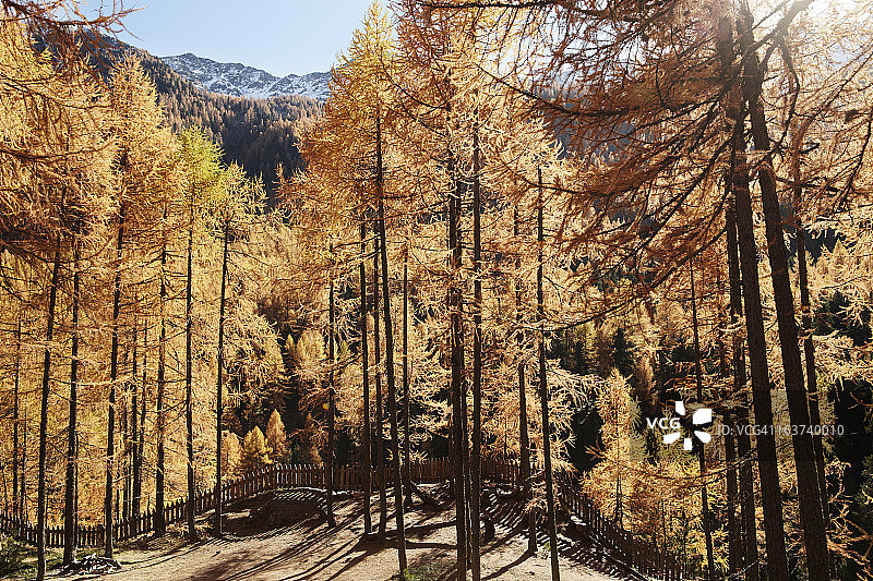 山区中的印度夏季图片素材