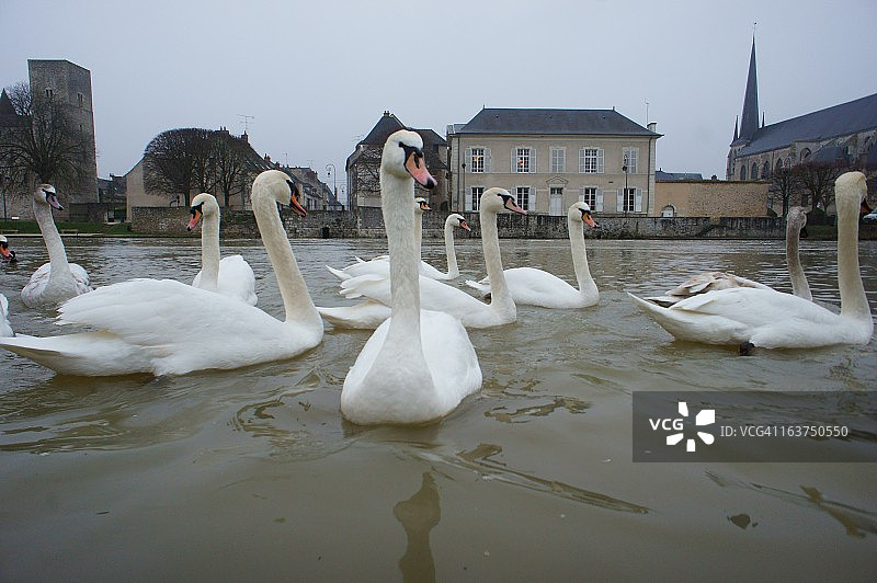 冬季芭蕾舞图片素材