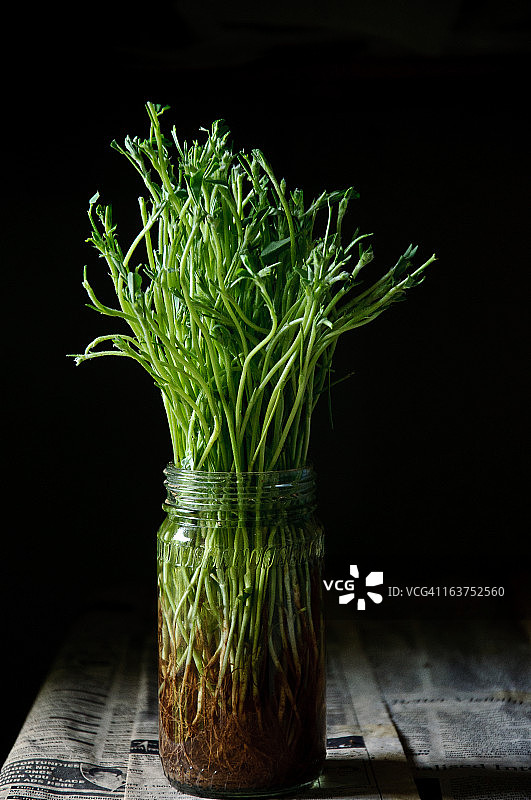 胡芦巴根图片素材