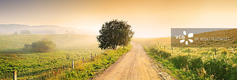雾中乡村公路图片素材