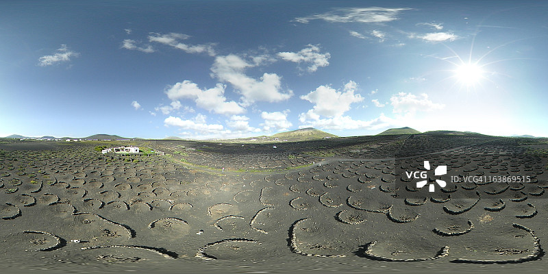 La Geria 葡萄园图片素材