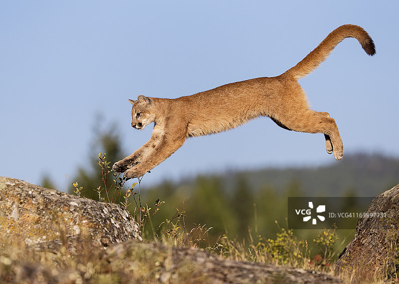 山峰轮廓图片素材