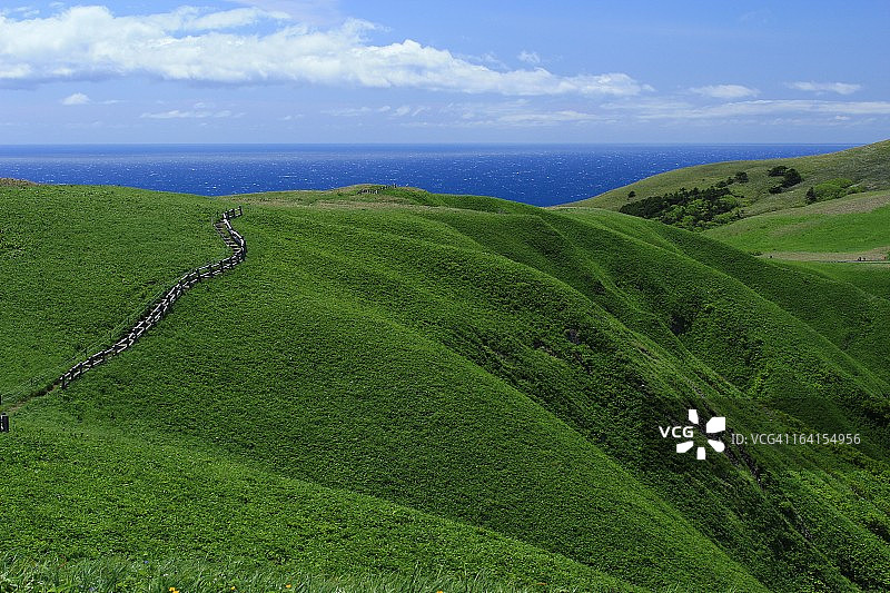 绿色夏天图片素材