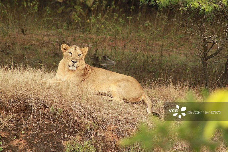 难以忘怀的凝视图片素材