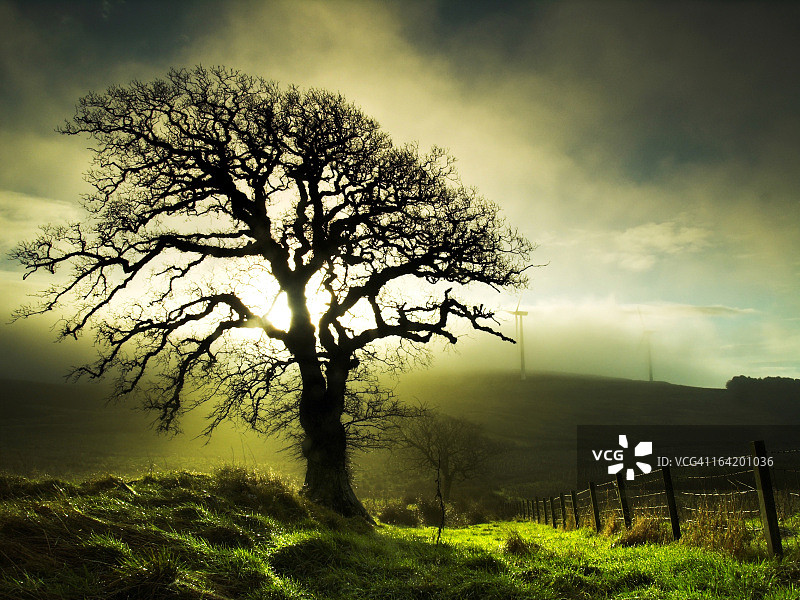 早晨的光芒图片素材