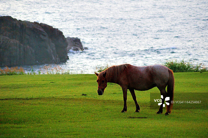 晨曦风光图片素材