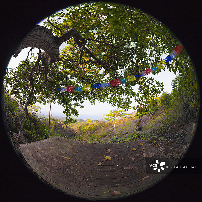 树下和祈祷旗帜下的冥想台图片素材