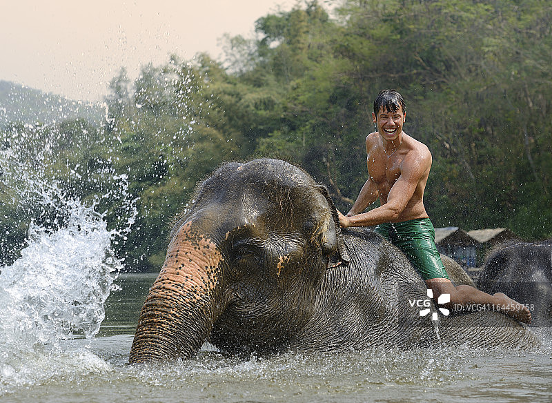 热带雨林中骑着大象并给大象洗澡的男人图片素材