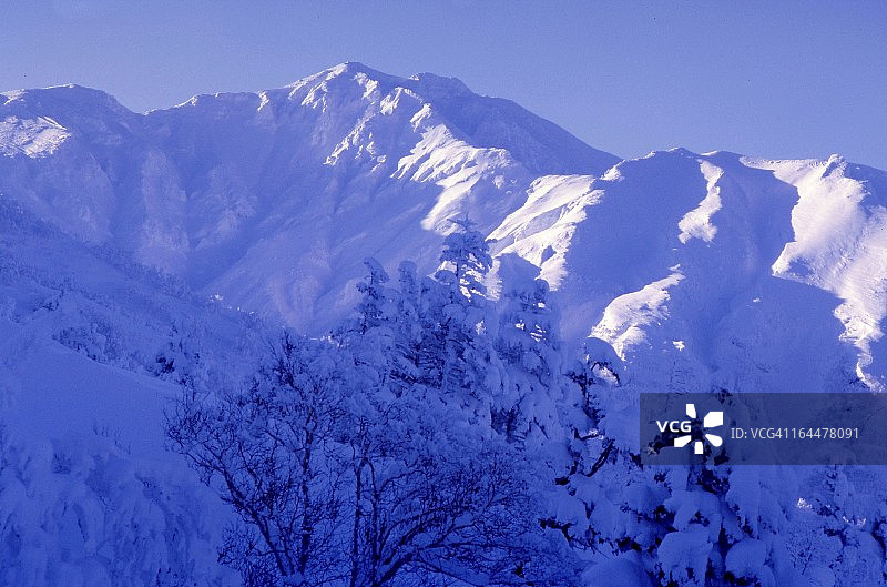 富良野山晨光图片素材