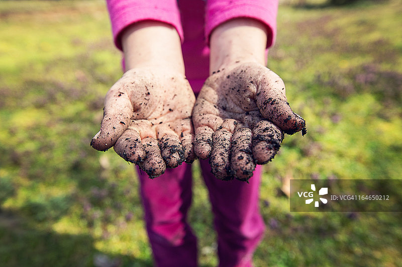 园艺之手图片素材