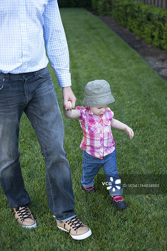 父亲牵着幼儿的手穿过草地图片素材