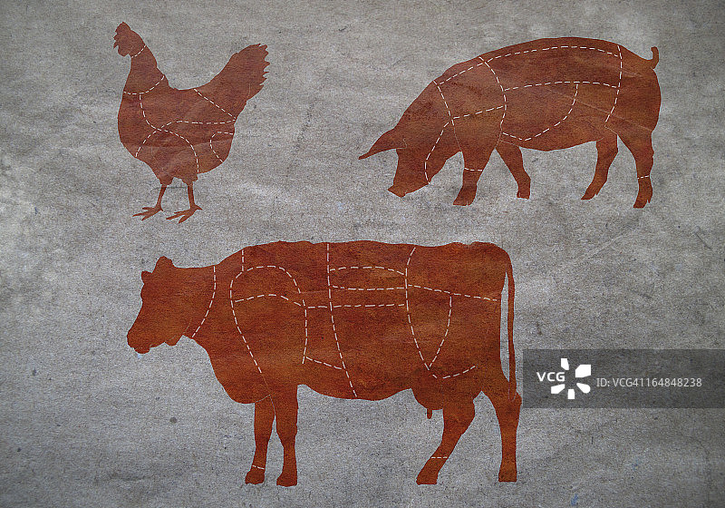 牛肉、鸡肉和猪肉的屠宰分割图图片素材
