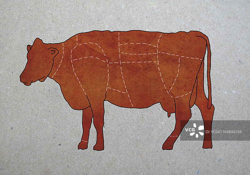 牛肉分割图解图片素材