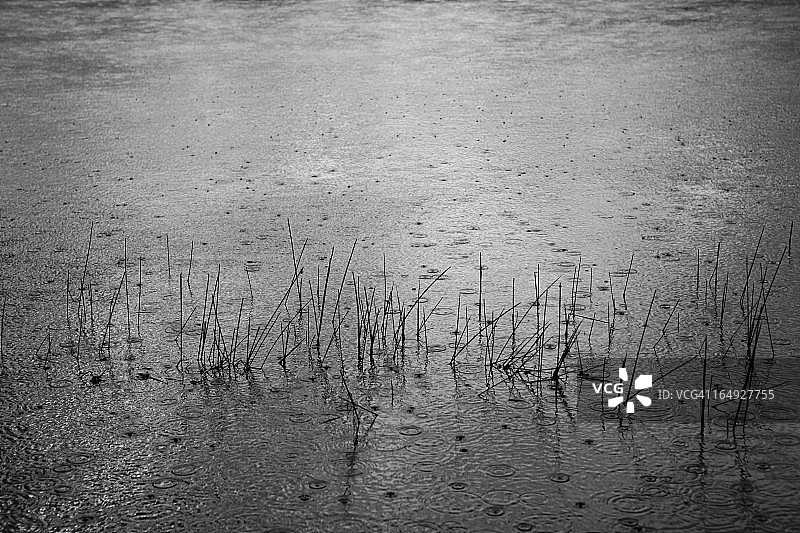 雨图片素材