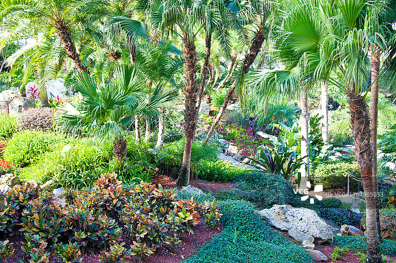 热带森林度假酒店图片素材