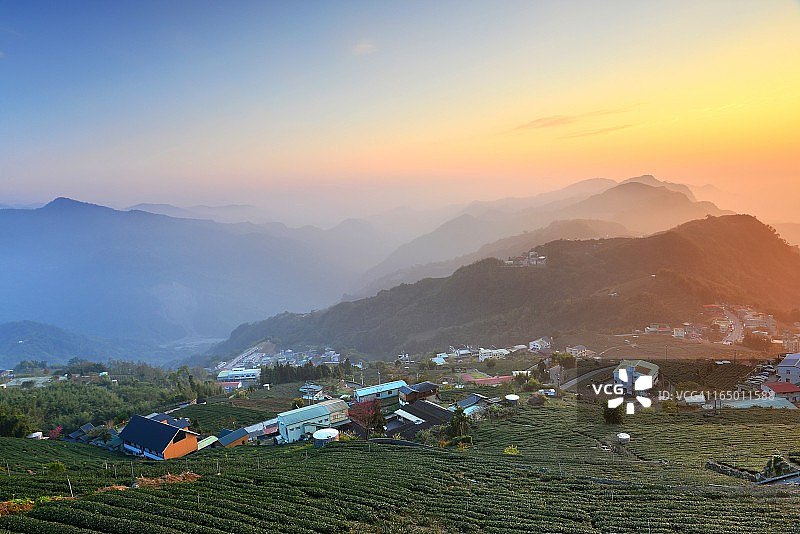 雾蒙蒙的茶园图片素材