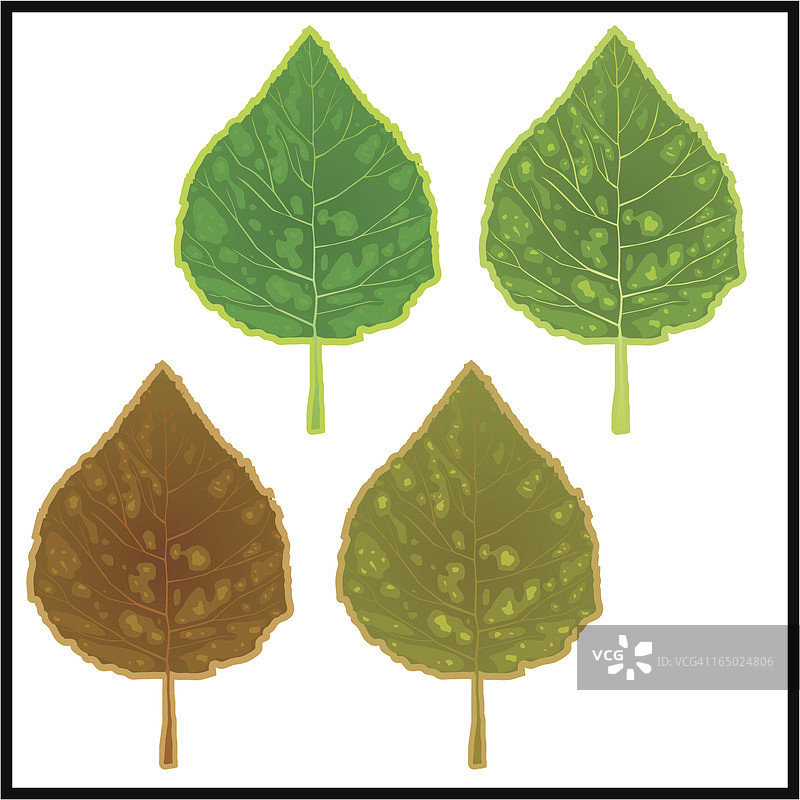 秋叶01图片素材