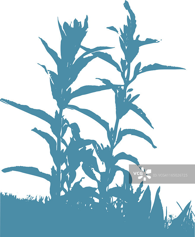 植物矢量素材图片素材