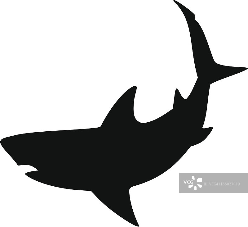 鲨鱼2图片素材