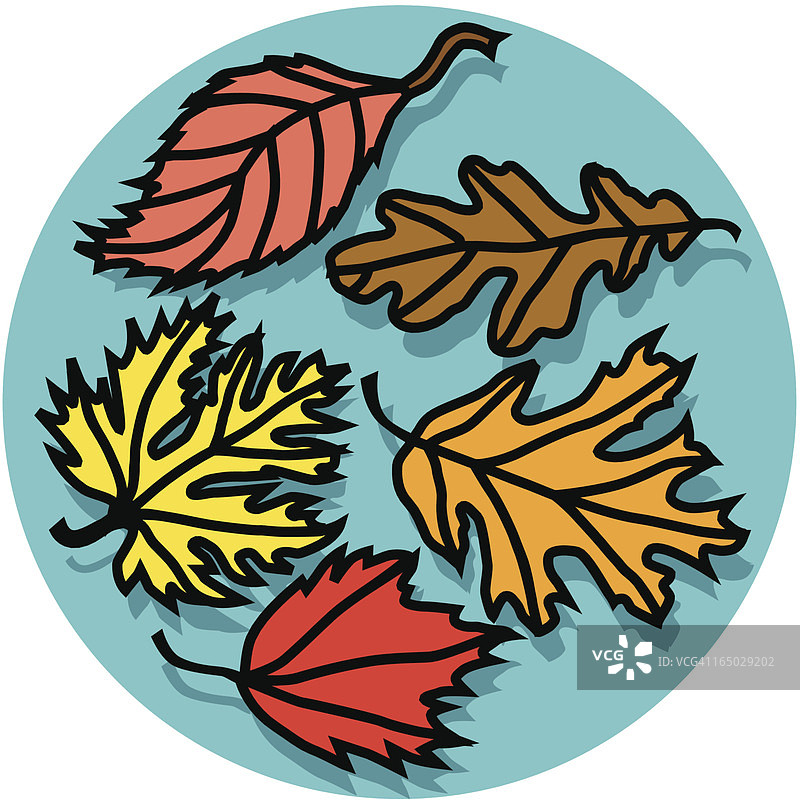 秋叶02图标图片素材