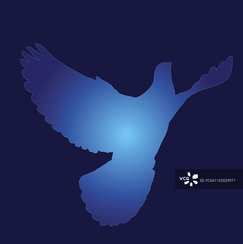 抽象鸽子图片素材