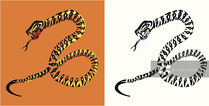 蛇-纹身图案图片素材