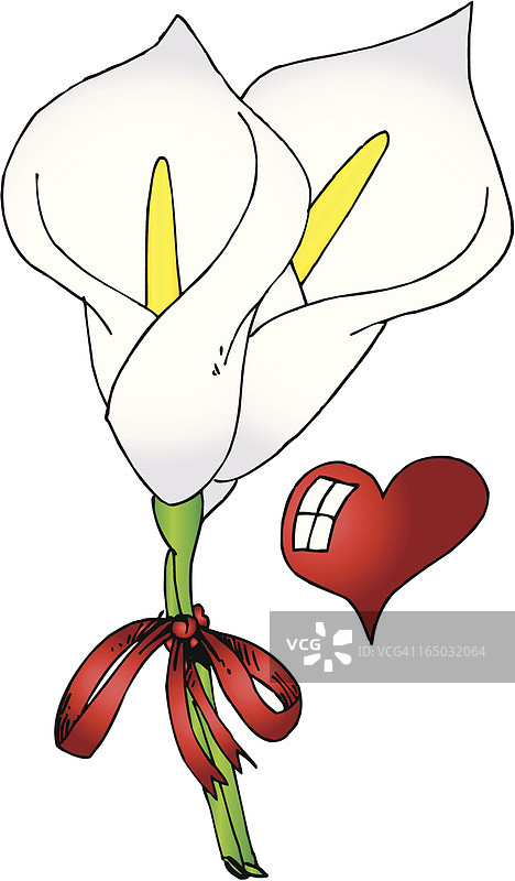情人节礼物：花与和平百合爱心矢量图图片素材