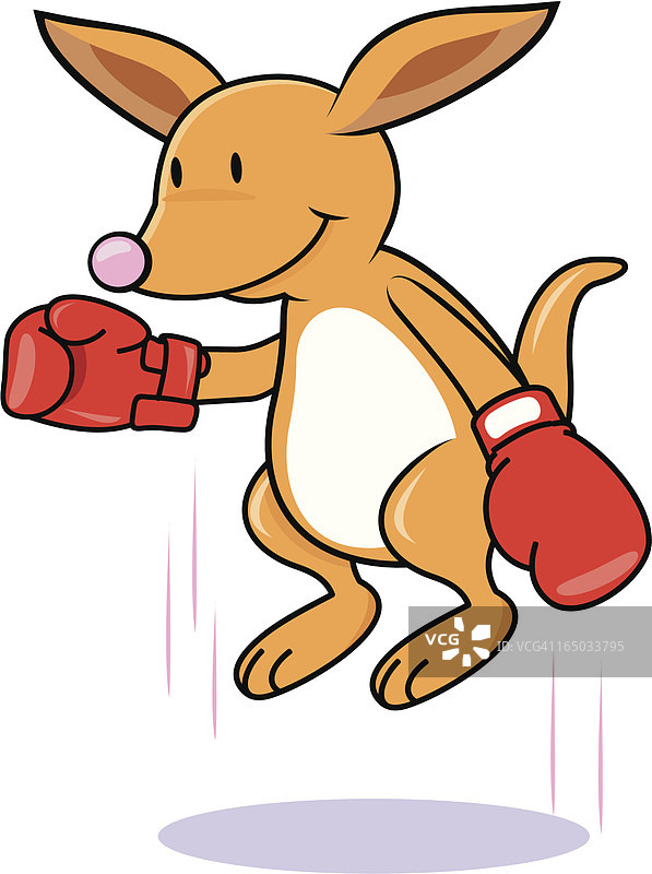 袋鼠拳击图片素材