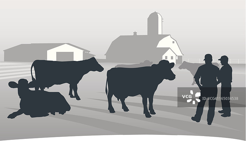 农业：俯瞰畜群图片素材