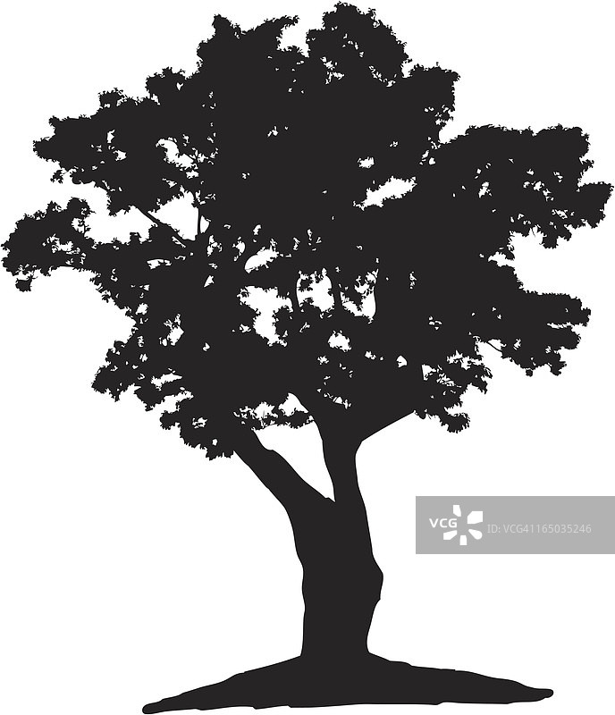 树木轮廓（矢量图）图片素材