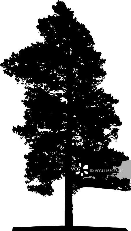 树木轮廓矢量图图片素材