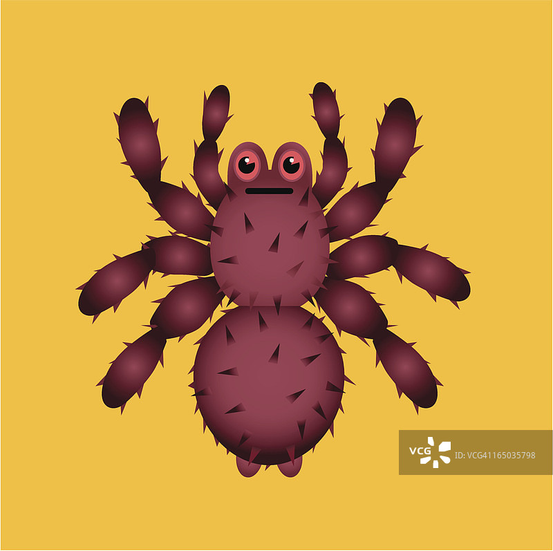 蜘蛛图片素材