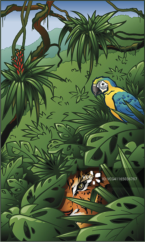 雨林丛林中的老虎和黄色金刚鹦鹉图片素材