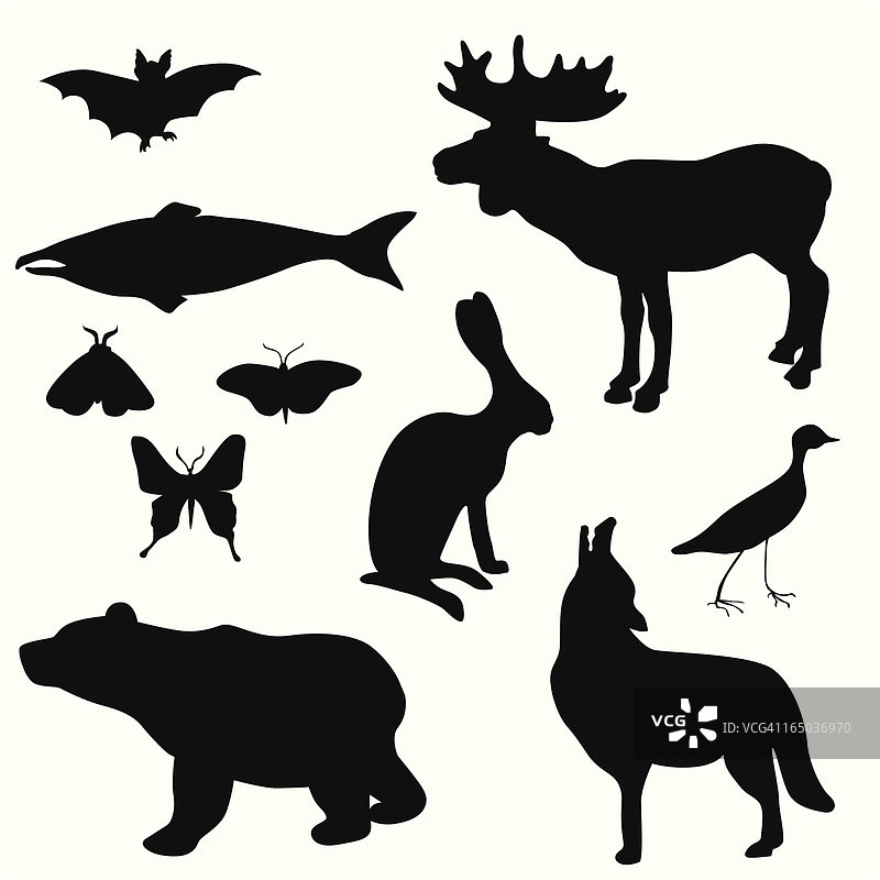 熊、蝙蝠、兔子矢量剪影图片素材