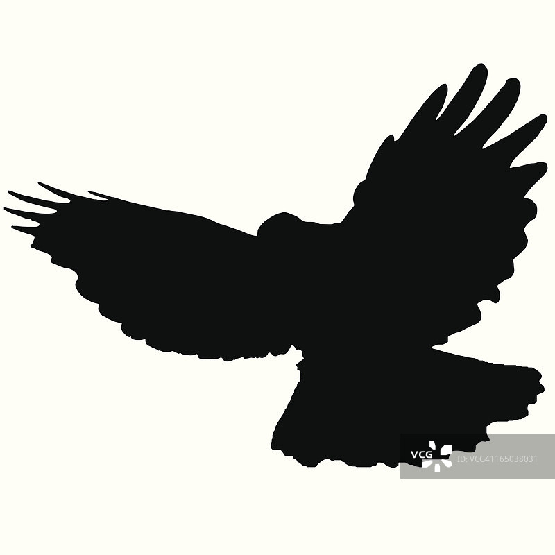 飞鸟剪影04图片素材