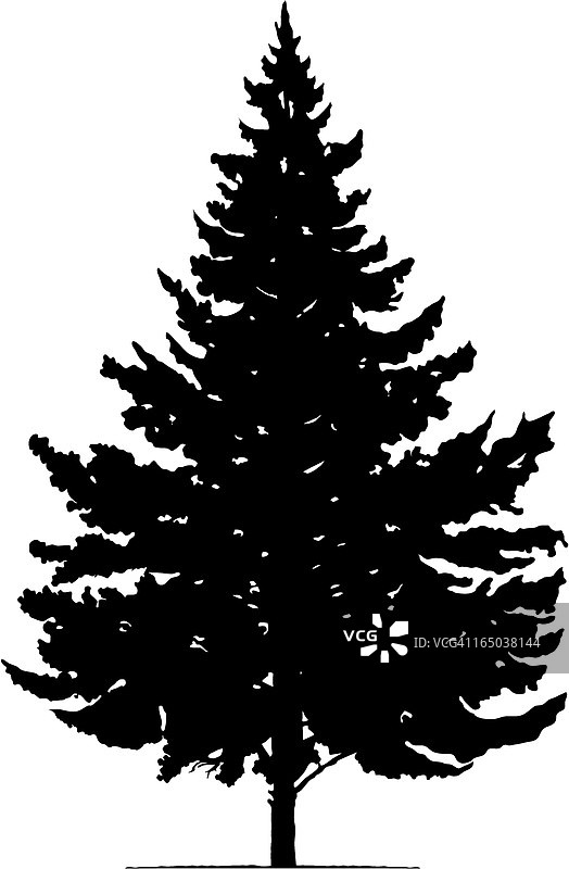 圣诞树矢量素材图片素材