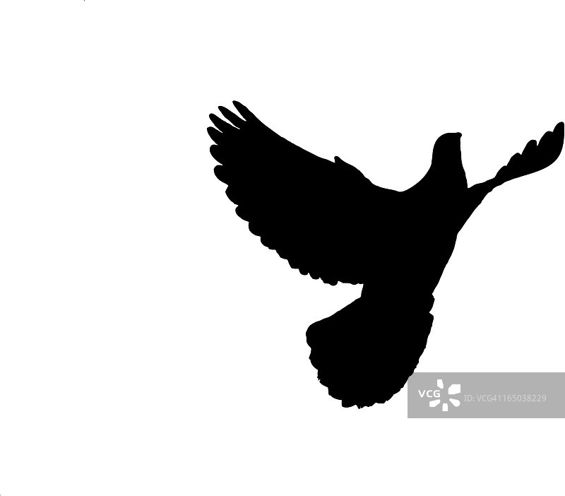 轮廓剪影图片素材