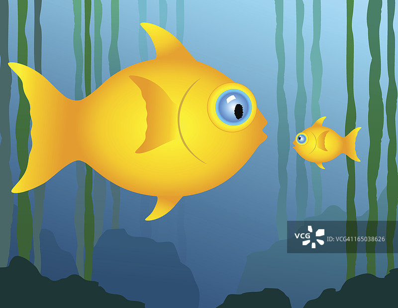 大小鱼图片素材