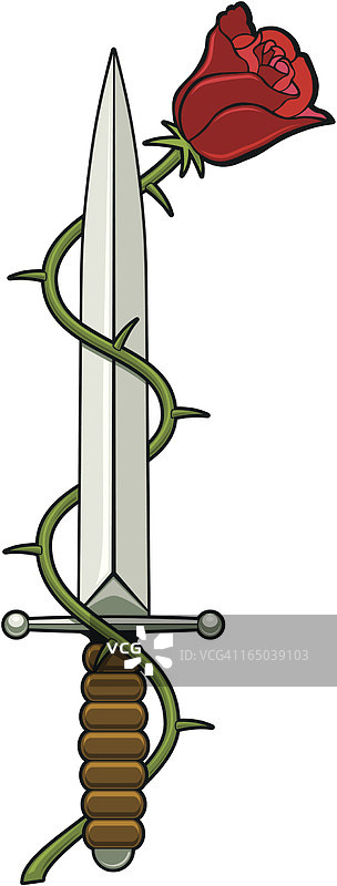 博德金玫瑰图片素材