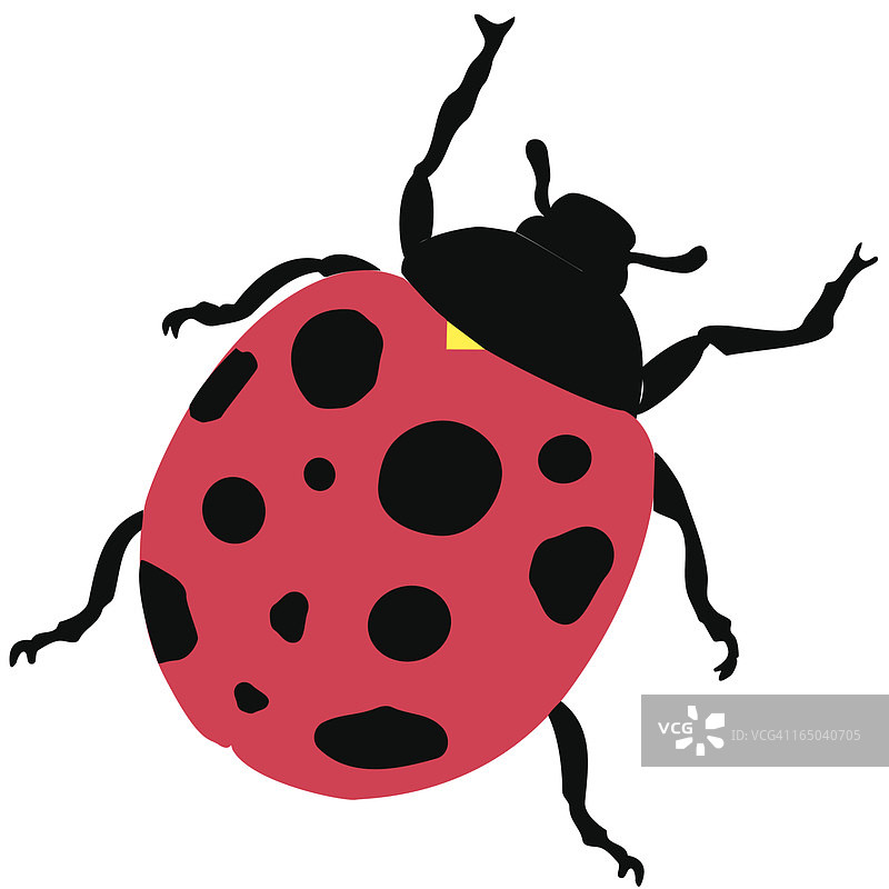 艺术家手绘的瓢虫动画图片图片素材