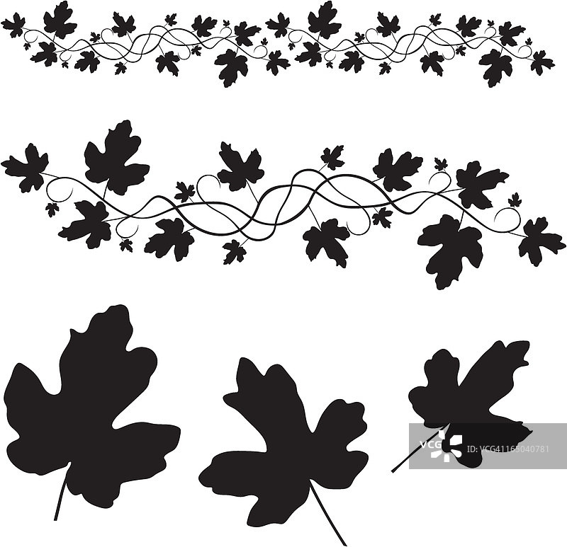 树叶 - 矢量图图片素材