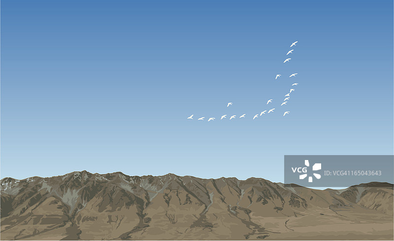 冬季迁徙图片素材