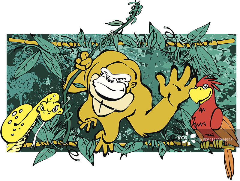 丛林野生动物：猴子、蛇和鹦鹉图片素材