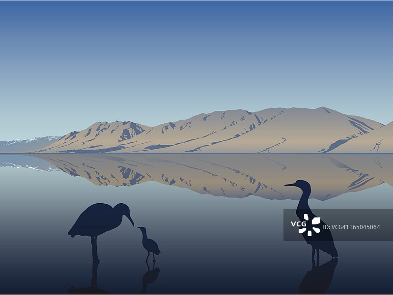 蓝鹭一家图片素材