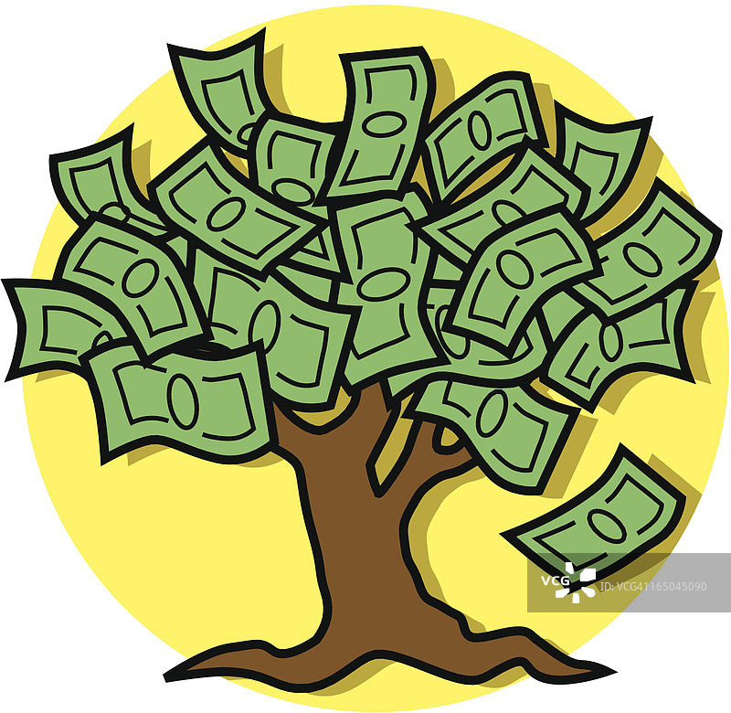 金钱树图片素材