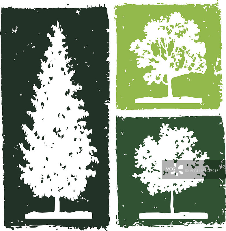 三棵树图片素材