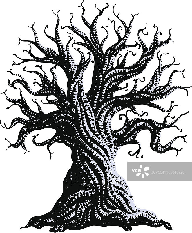 多节的老树图片素材