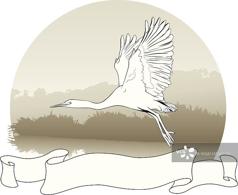 苍鹭画卷图片素材