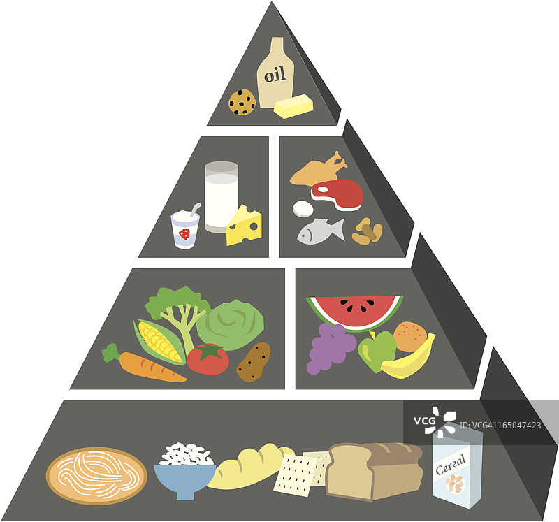 食物指南金字塔图片素材